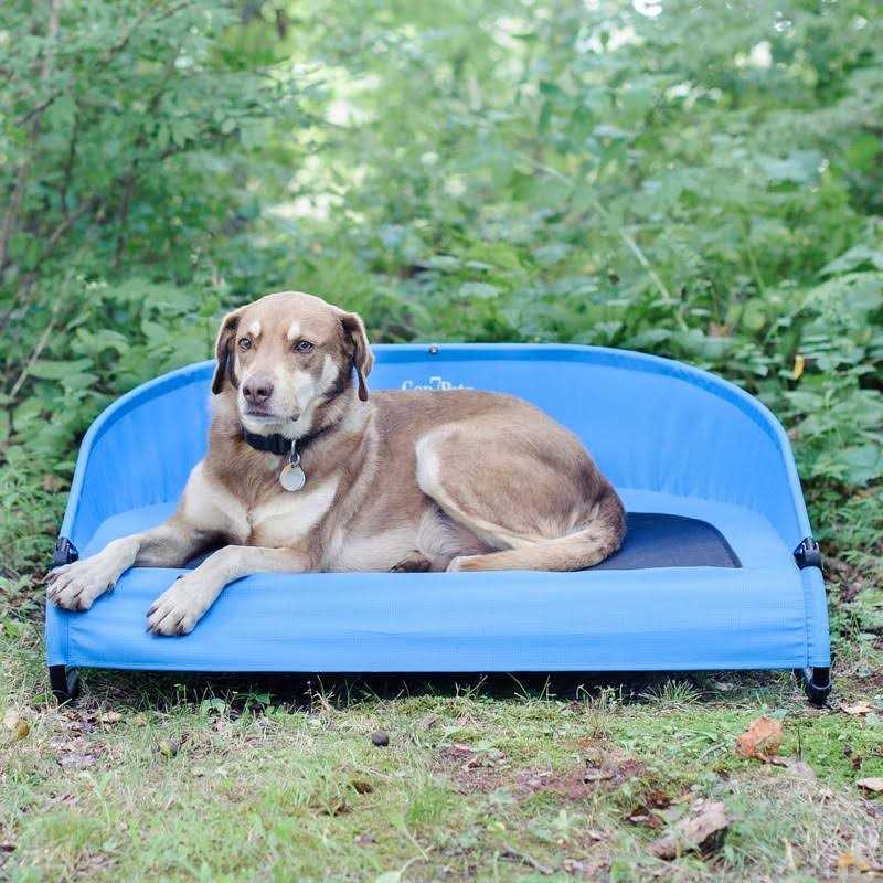 Cool-Air Pet Cot R5538