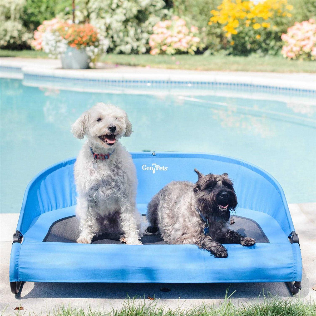 Cool-Air Pet Cot R5538