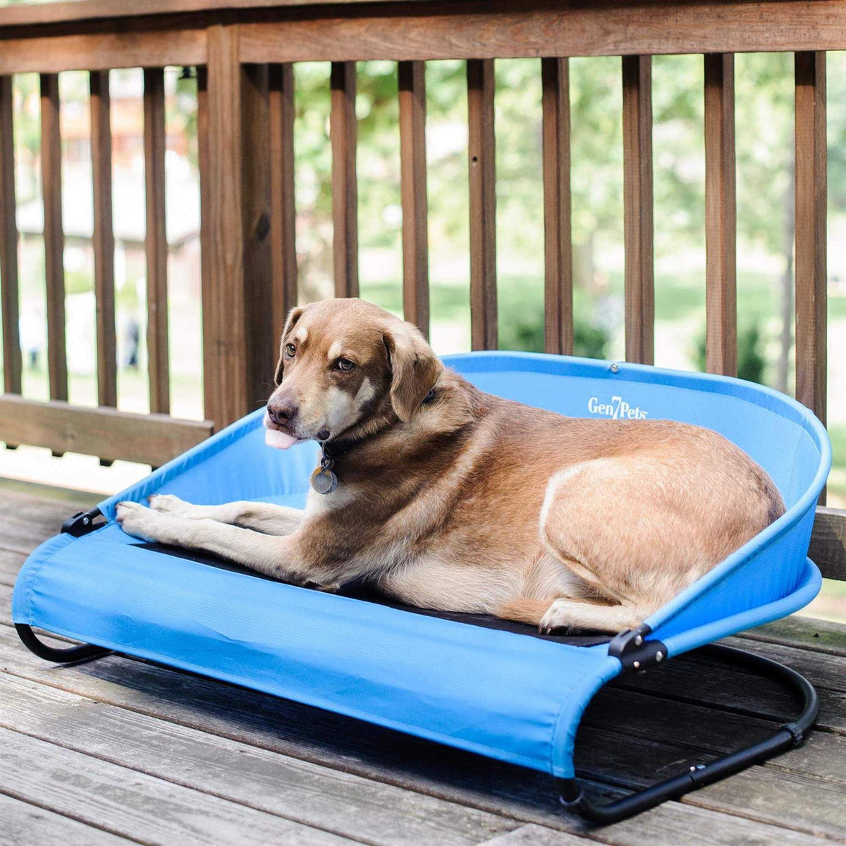 Cool-Air Pet Cot R5538