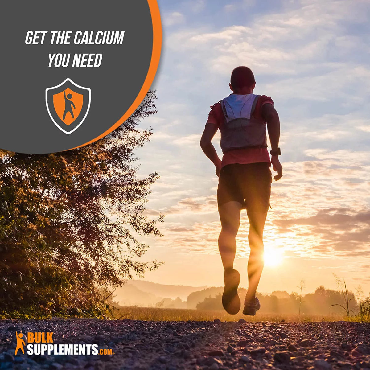 Calcium Acetate Powder 500mg 100 Grams V57058
