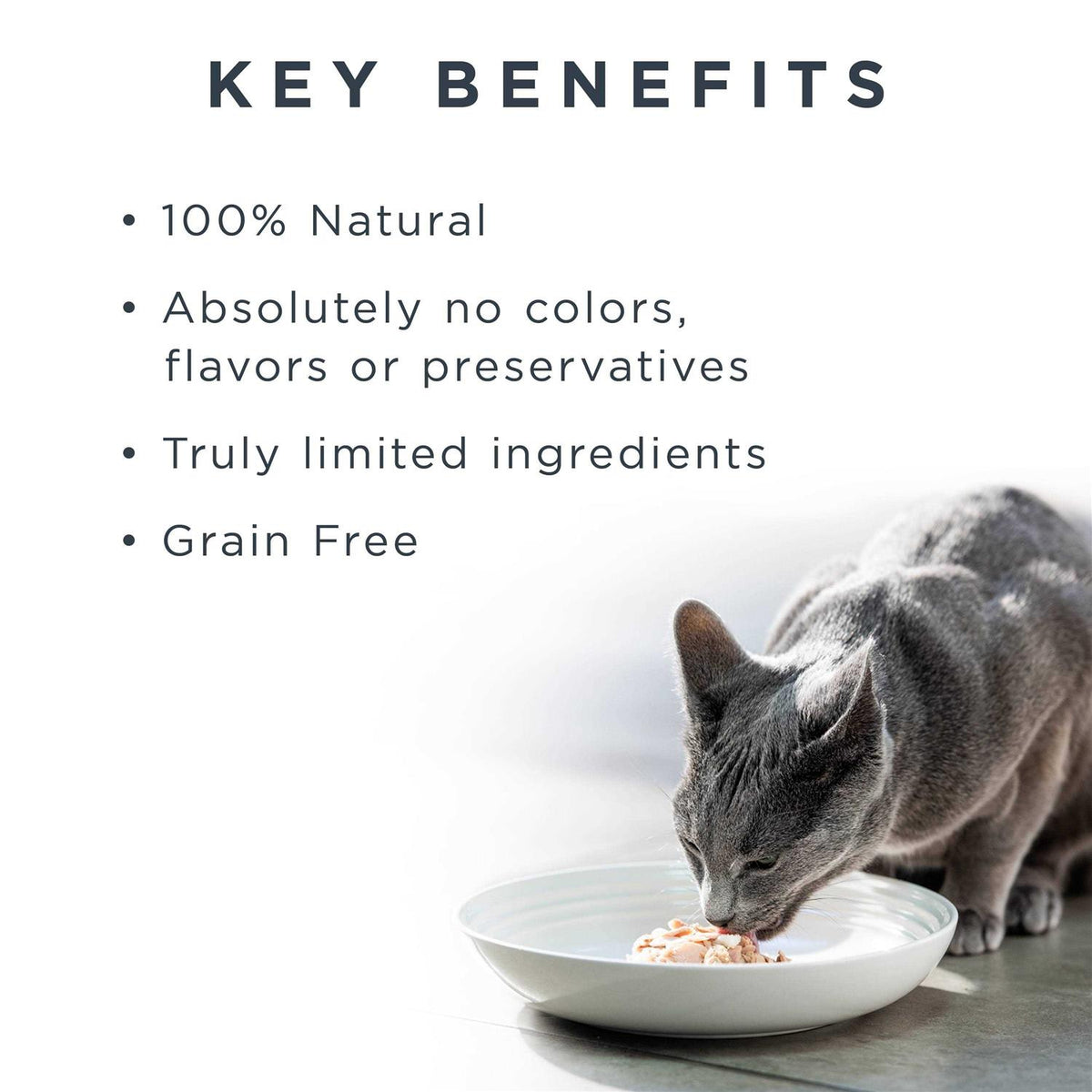 Grain Free Tuna Fillet Cat Food W4674