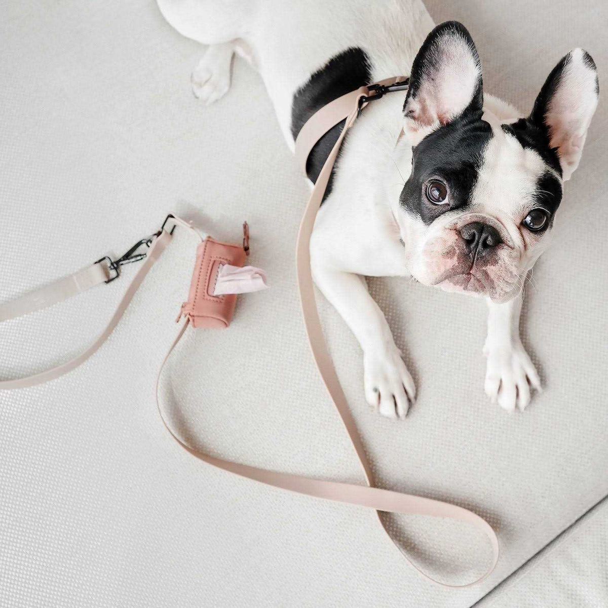 Hands Free Long Dog Leash Y67767