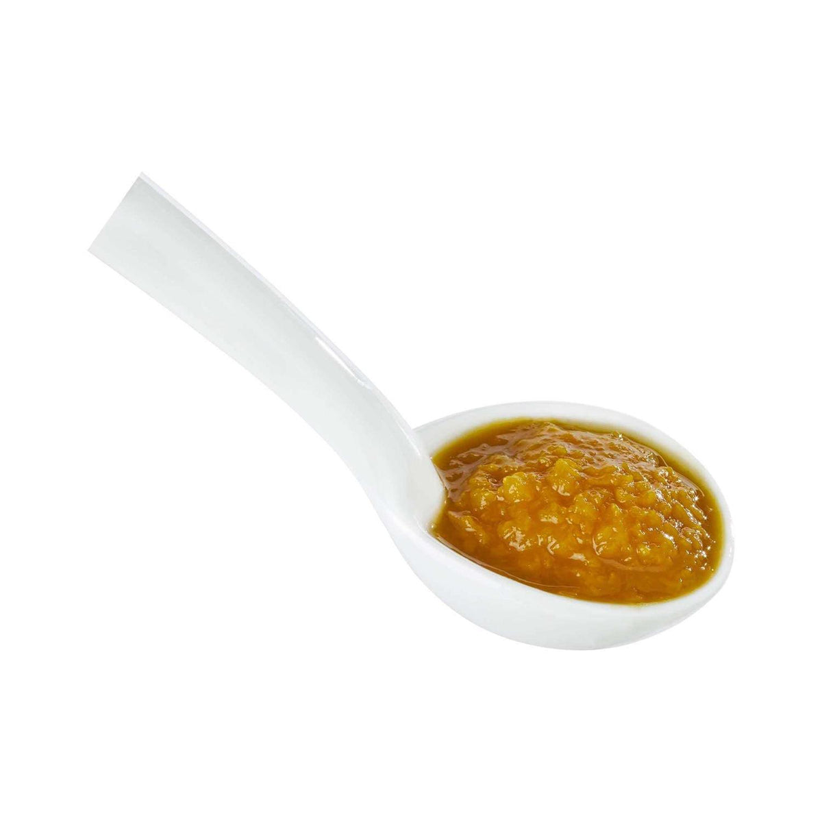 Pumpkin Soup Puree Dog Meal Topper Q989