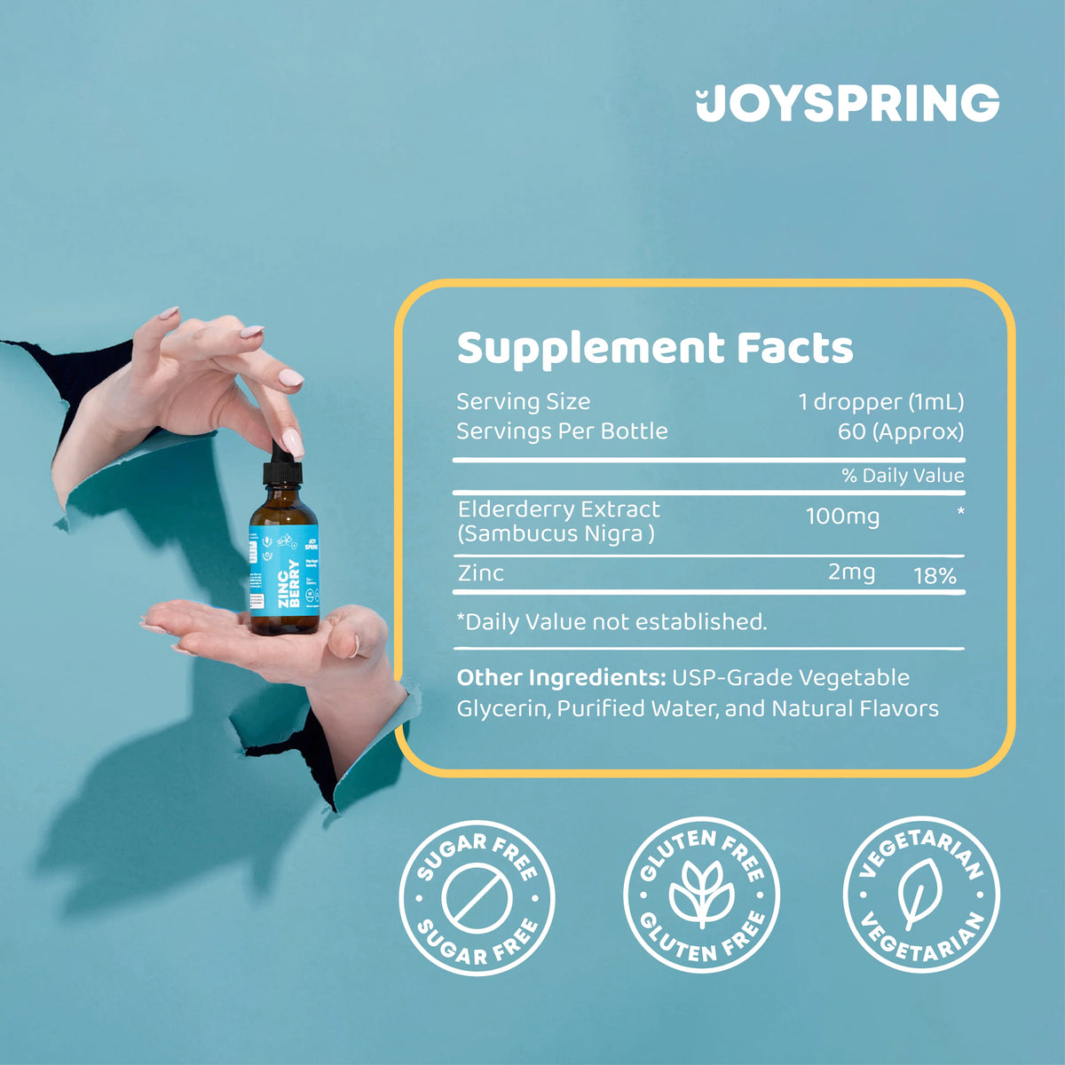Zinc Liquid Supplement Drops with Elderberry Extract L97504