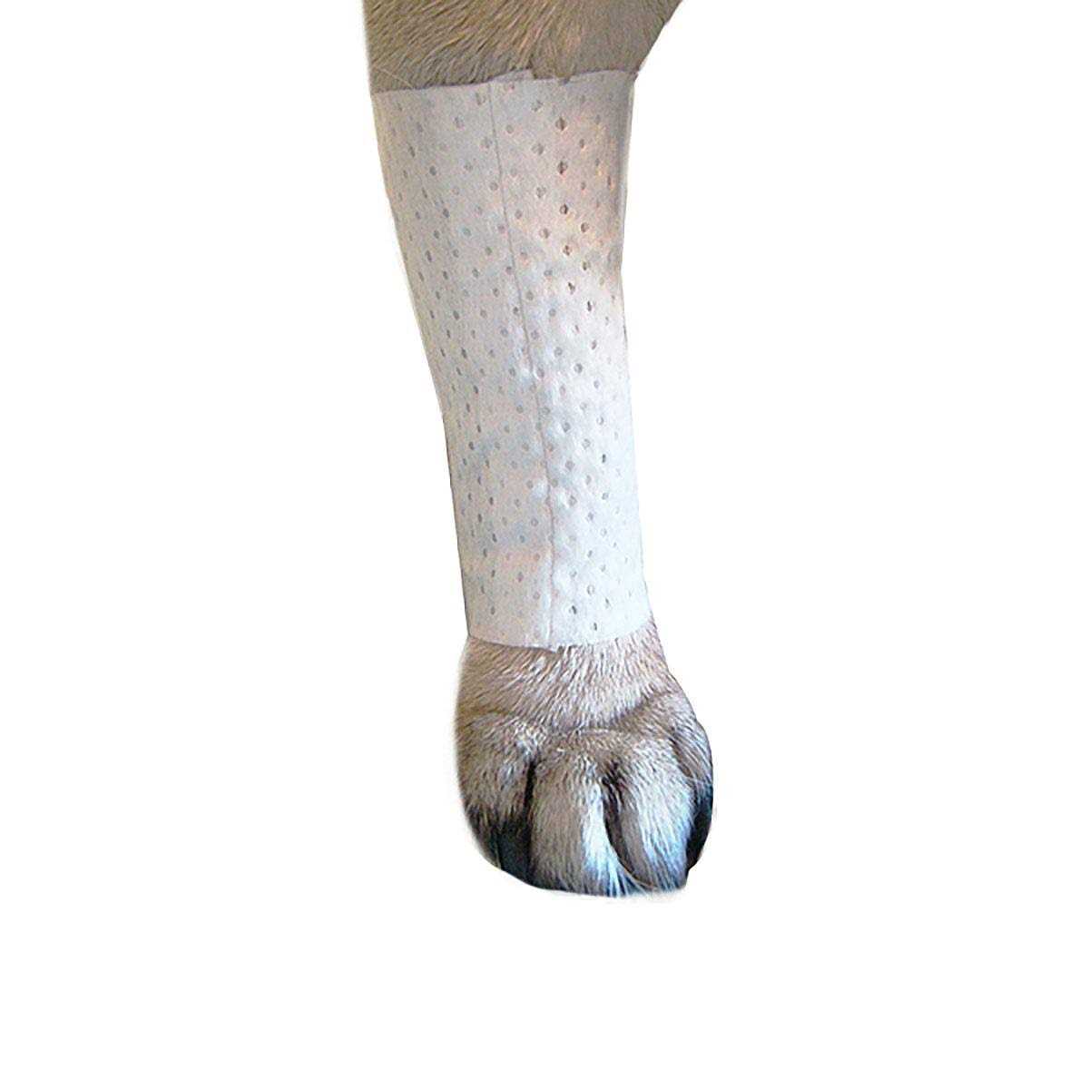 Protective Covers for Pets F68574